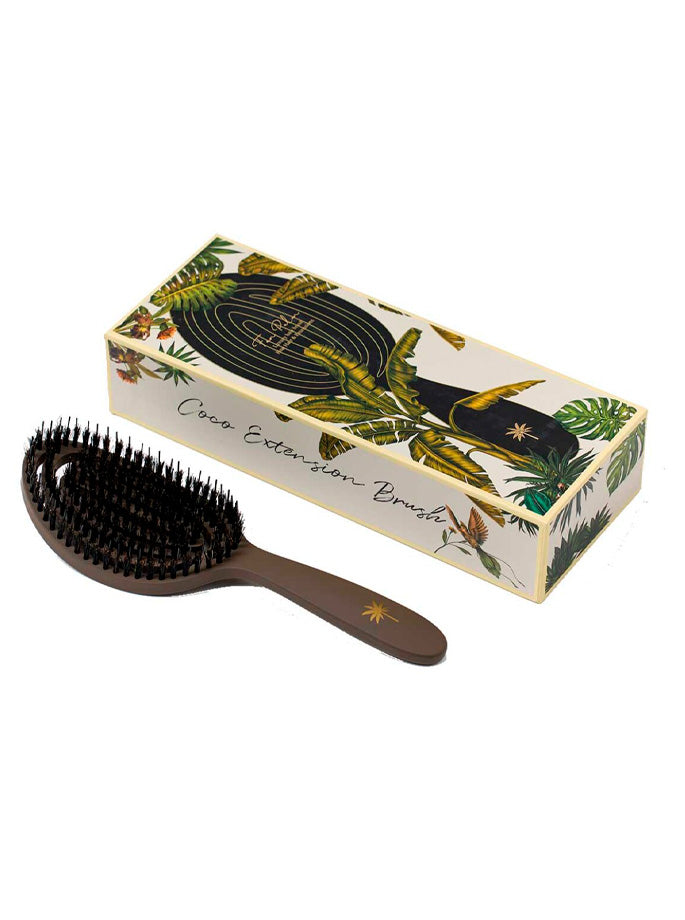 Fan Palm - Large Fine Hair Brush Coco