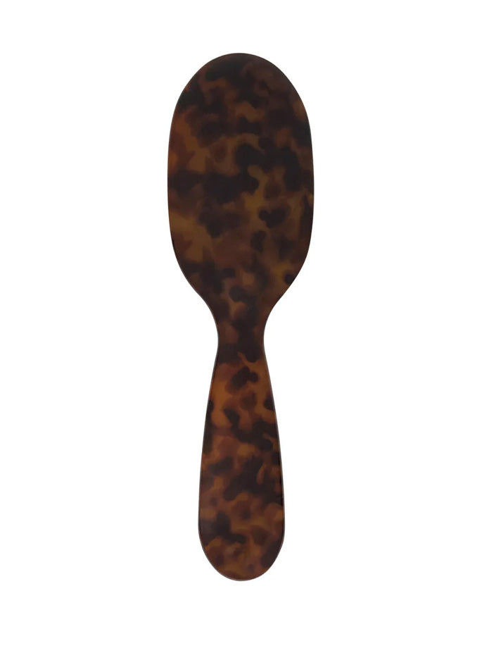 Fan Palm - Small Brush turtle