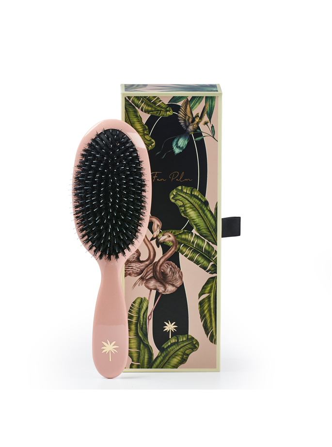 Fan Palm - Medium Brush Blush