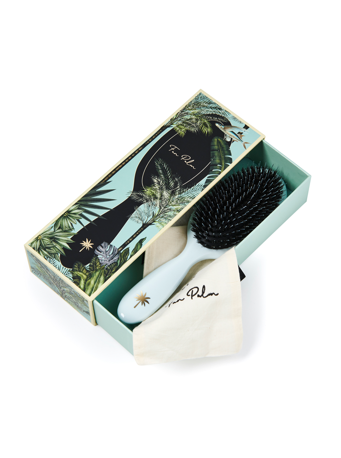 Fan Palm - Medium Brush Maldives