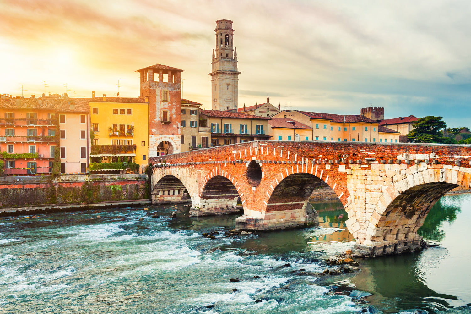 Grifoni Verona: En hyldest til Italiensk finesse og stil