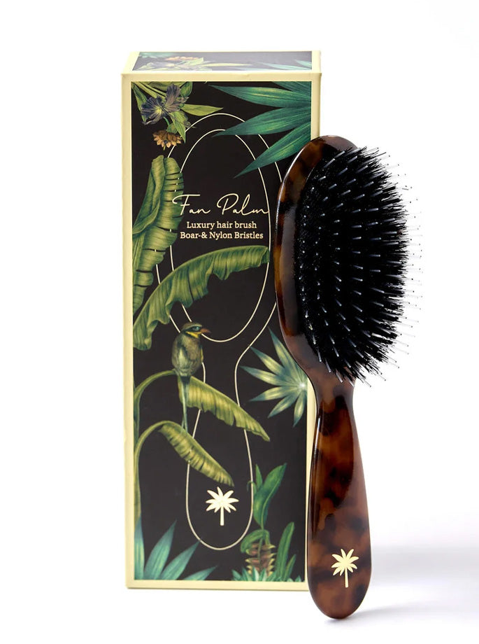 Fan Palm - Small Brush turtle